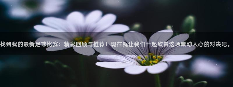 意昂4登录平台：找到我的最新足球比赛：精彩回顾与推荐！现在就