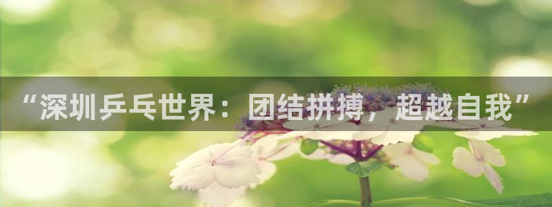 意昂4主管