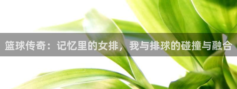 意昂4代理：篮球传奇：记忆里的女排，我与排球的碰撞与融合