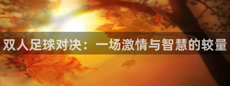 意昂4官网入口：双人足球对决：一场激情与智慧的较量