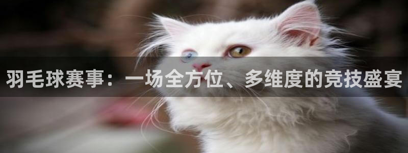 意昂4代理注册登陆：羽毛球赛事：一场全方位、多维度的竞技盛宴