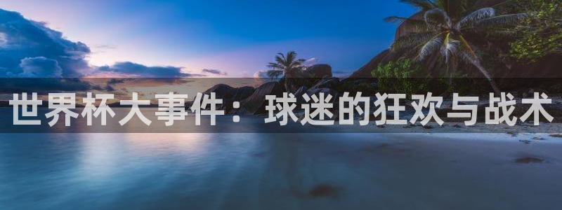 意昂4招商：世界杯大事件：球迷的狂欢与战术