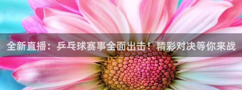 意昂4娱乐官网入口：全新直播：乒乓球赛事全面出击！精彩对决等