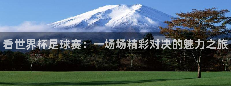 意昂4官网：看世界杯足球赛：一场场精彩对决的魅力之旅