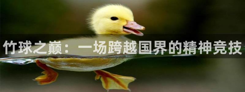 凯捷足球俱乐部：竹球之巅：一场跨越国界的精神竞技