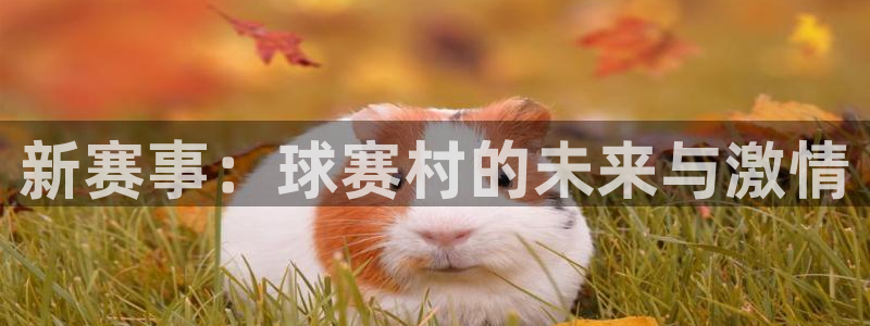 意昂4注册地址：新赛事：球赛村的未来与激情