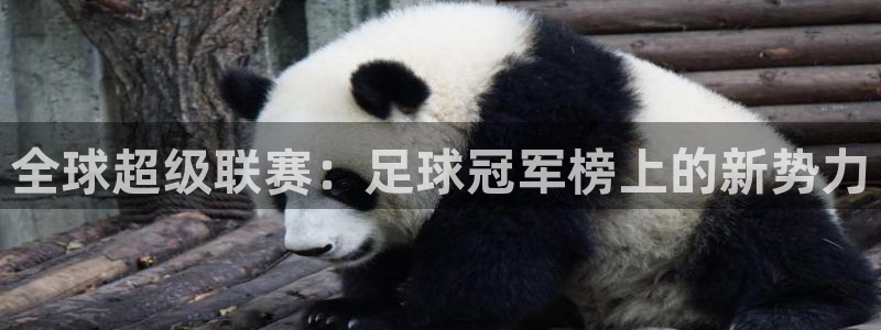 意昂4平台登录：全球超级联赛：足球冠军榜上的新势力